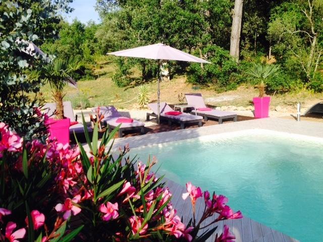 La Bastide De L'Issole Appartement Besse-sur-Issole Kamer foto